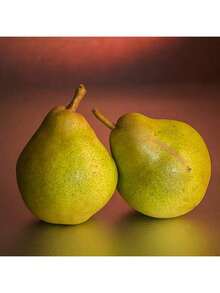 Seeds Pear Tree Fruit Seeds Grow Fast, Have High Germination Rate, Are Rich In Vitamins, Have Sweet Taste, And Are Suitable For Planting In Outdoor Gardens. - 100 - Xem 8