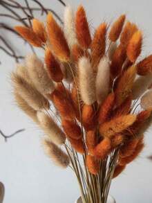 29/59/99 件，橙色蒲苇，波西米亚风格兔尾草干花，优质干花真花家居客厅装饰插花花束DIY装饰