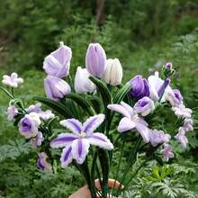 Beginner's Pipe Cleaner Craft Kit: 50 Pcs With Video Tutorial & Cream White Colors - Everything Needed For First DIY Flowers & Easy Projects - Cream White - View 8