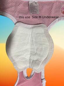 6pcs Disposable Dog Pet Period Pants Suitable For Male And Female Dogs Comfortable Absorbent Pads Sanitary Pads Physiological Pants