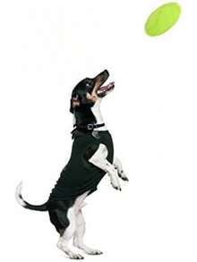 Vivifying Dog Flying Disc, 2 Pack 7 Inch Natural Rubber Floating Flying Saucer For Both Land And Water (Green + Red) - Green + Orange - View 7