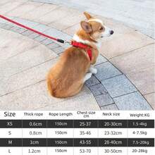 2pcs/Set Adjustable Triangle Breathable Nylon Dog Harness Leash Set For Small Dogs