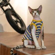 Pet Cat Multi-Color Minimalist Striped Elastic Breathable Thin Vest Comfortable Base Layer Undershirt For Hairless Cats Sphynx Devon Rex - Blue - View 1