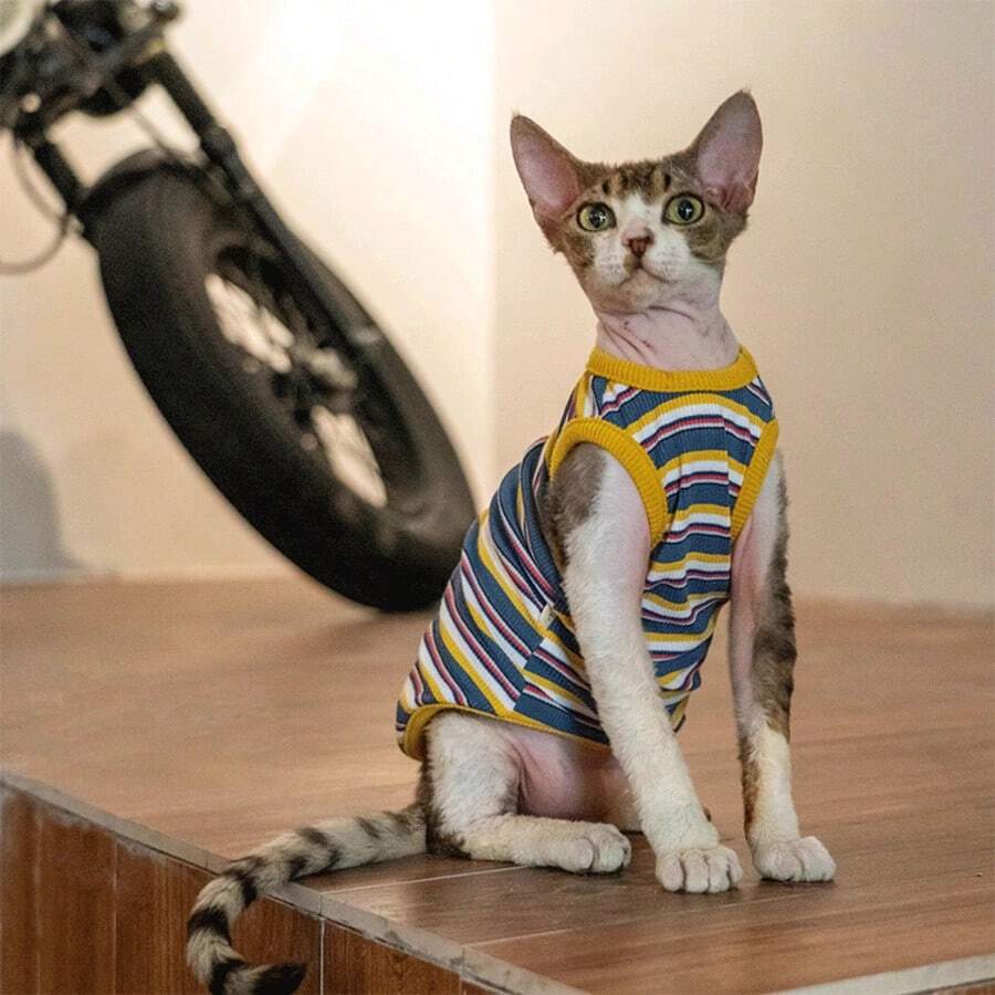 Pet Cat Multi-Color Minimalist Striped Elastic Breathable Thin Vest Comfortable Base Layer Undershirt For Hairless Cats Sphynx Devon Rex - Blue - View 1