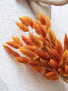 29/59/99 件，橙色蒲苇，波西米亚风格兔尾草干花，优质干花真花家居客厅装饰插花花束DIY装饰