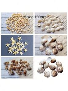100pcs Small Sea Star, Sea Shell, Beach Craft, DIY Decoration, Handmade, Decoration - Multicolor - View 3
