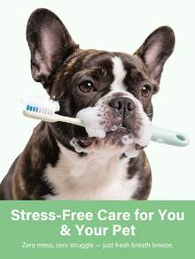 GJYC PET 2 液体盎司薄荷味宠物口腔喷雾，适用于犬猫，清新口气，护理牙齿，无酒精配方，每日使用