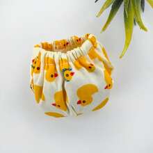 Squirrel Hamster Diaper Changing Diapers Outdoor Supplies Training Clothes Shorts - Multicolor - View 19