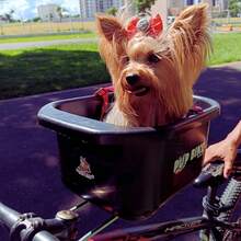 fn pets Cexto Bike With Seat And Seat For Transporting Animals For Dogs And Cats - Beige - View 9