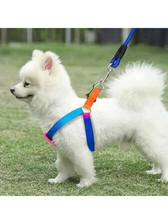 Colorful Dog & Cat Harness And Leash Set - Adjustable Pet Walking Gear For Medium & Small Pets, Comfortable Reflective Straps For Daily Walks, Training, Hiking & Outdoor Exploration, Durable Pet Safety Harness