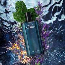 Davidoff COOL WATER 125 ML EDT SPRAY - Fresh - View 3