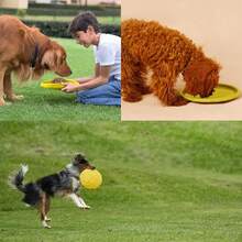 Vivifying Dog Flying Disc, 2 Pack 7 Inch Natural Rubber Floating Flying Saucer For Both Land And Water (Green + Red) - Green + Yellow - View 8