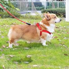 2pcs/Set Adjustable Triangle Breathable Nylon Dog Harness Leash Set For Small Dogs