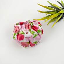 Squirrel Hamster Diaper Changing Diapers Outdoor Supplies Training Clothes Shorts - Multicolor - View 16