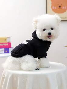 1件宠物衣服，狗狗/猫咪服装，舒适连帽卫衣，适合小型犬猫，可爱宠物套装 - 黑色 - 黑色 - 查看 4