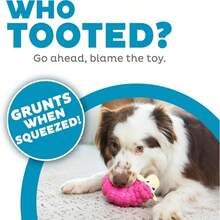 Outward Hound Tootiez Sheep Grunting Latex Rubber Dog Toy, Small