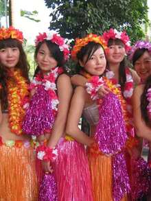 Conjunto de 5 piezas de disfraz de falda de hierba con corona de flores hawaianas, traje para celebración de festival, actuación en el escenario, evento escolar, ensayo de baile en grupo grande (cintura ajustable) Halloween