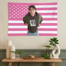 Movie Celebrity Actor Malachi Tapestry Barton Pink Art Flag Tapestry For Room Aesthetic Living Room Bedroom College Dorm Decor Pink Gift - Pink - View 6