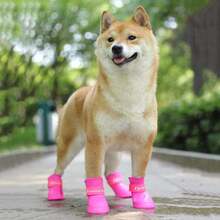 Pet Rain Boots – PVC Shoes For Paw Protection - Red - View 5