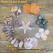 Ok. 100 szt./opakowanie muszli morskich w różnych kolorach – do samodzielnego wyrobu biżuterii, dekoracji akwarium, łazienki, świec na imprezę, dekoracji ślubnych, projektów rękodzielniczych