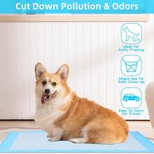 20 Count Tear-Resistant Disposable Bed Pads, Super Absorbent Underpads, Thickened Incontinence Pads For Adults, Also Suitable For Kids And The Elderly; Can Also Be Used As Pet Training Pads