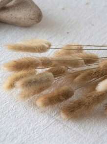 29/59/99 件，橙色蒲苇，波西米亚风格兔尾草干花，优质干花真花家居客厅装饰插花花束DIY装饰