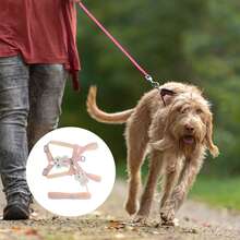 Bunny Style Pet Leash Kit Durable Dog Leash Kit For Dog