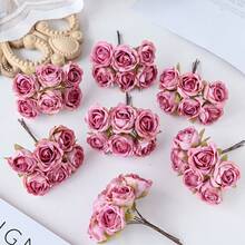 Colore pasta di fagioli