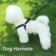 2pcs/Set Adjustable Triangle Breathable Nylon Dog Harness Leash Set For Small Dogs