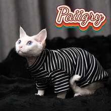 3-Color Striped Classic Homewear Outfit For Sphynx Cats, Suitable For Small-Medium Cats, Machine Washable - Black - View 8