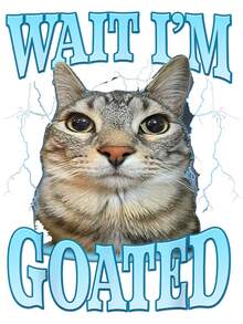 [100% Cotton]Funny Wait I'm Goated Silly Cat Meme Humor Silly Cat Saying T-Shirt Graphic Tees Crewneck Shortsleeve - màu đen - Xem 2