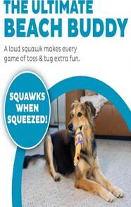 Outward Hound By Charming Pet Squawkers Earl Latex Squeaky Rubber Chicken Dog Toy, Funny Interactive Holiday Toy For Dogs, Large Size - 顏色D - 查看 2
