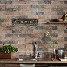 1 pieza placa metálica rectangular 2D de 4x16 pulgadas, con tema "Todos estamos locos", logo de corona, centro de corona, agujeros previamente perforados, estilo de agujero aleatorio