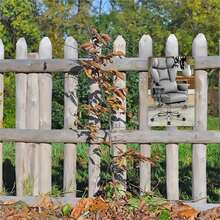 Ergonomic Executive Office Chair With Footrest Premium Leather High Back Desk Chair Adjustable Height Lumbar Support Home Office Gaming Chair Tin Metal Wall Decor - 彩色 - 查看 2