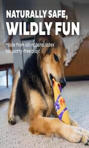 Outward Hound By Charming Pet Squawkers Earl Latex Squeaky Rubber Chicken Dog Toy, Funny Interactive Holiday Toy For Dogs, Large Size - 顏色D - 查看 4