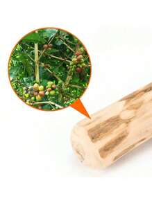 1件装幼犬最爱，咖啡色木质狗狗磨牙玩具 - 互动式磨牙棒，适合所有犬种，牙齿保健及训练辅助用品，尤其适合爱啃咬的狗狗 - 彩色 - 查看 7