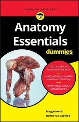 Pre-Owned Anatomy Essentials For Dummies (Paperback) By Maggie A Norris, Donna Rae Siegfried