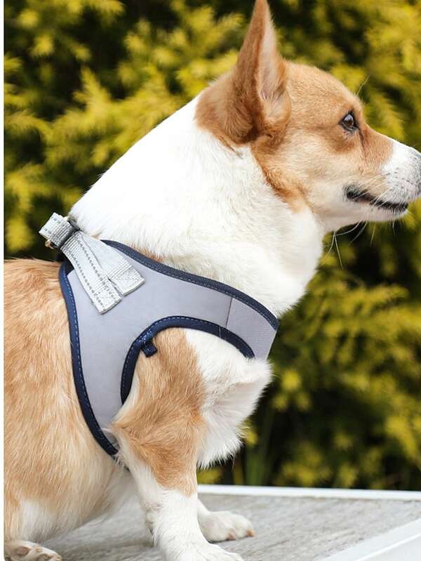 Small Dog & Cat Leash, Chest Harness Leash, Backpack Style Leash For Teddy, Pomeranian, Puppy