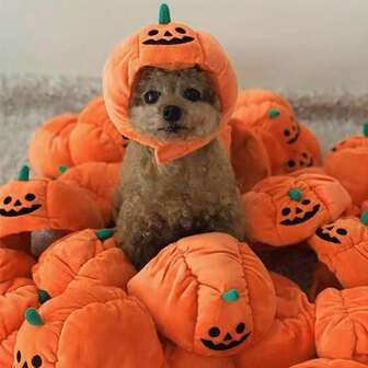 1 pezzo Cappello divertente a forma di zucca natalizia per animali domestici, accessorio per costume animale carino