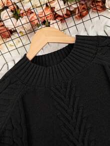 Plus Size Crew Neck Casual Solid Color Long Sleeve Knit Sweater Black - Black - View 9