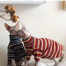 Striped Turtleneck Ribbed Thin Breathable Hairless Cat Clothes, Suitable For Sphynx And Devon Rex Cats - Red - View 3