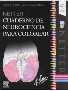 Neuroscience Coloring Book - Single Book - View 1