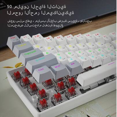 CHANGXIE 60% 紧凑型有线键盘，61 键 RGB 背光迷你便携式薄膜键盘，适用于 Windows PC、笔记本电脑和游戏，阿拉伯语布局