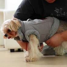 宠物保暖加厚外套一件，带牵引绳，适合秋冬季犬猫穿着。 - 粉色 - 查看 6