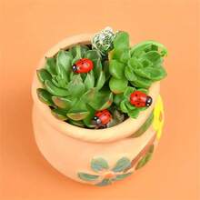 3/10/20/30/50 قطعة من الخنافس الخشبية الحمراء الواقعية، نموذج مصغر للحشرات، مغناطيسات، خنافس صغيرة مضحكة للنباتات المزروعة في أصص، ديكور للحرف اليدوية والتجميل والمناظر الطبيعية المصغرة وحفلات الحدائق والمنازل، تطعيمات خنافس خشبية مسطحة الظهر - الأحمر - مشاهدة 8