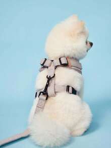 PETSIN 2pcs Adjustable Harness & Leash Set For Small Medium Sized Pet Dog And Cat Training And Walking