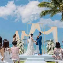 1 Elegant Metal Wedding Arch Background Bracket With A Golden Frame, Suitable For Floral And Plant Arrangements, Perfect For Indoor/Outdoor Ceremonies, Birthdays, And Celebrations, Ceremonial Decoration | Floral Embellishment | Sturdy Metal Frame, Wedding Decoration - 金色 - 查看 5