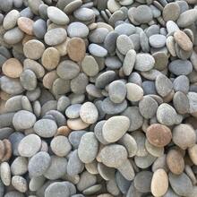 20pcs Natural River Rocks For Painting - Smooth Flat Stones, Art & Crafts Decor, Major Material: Natural Stone