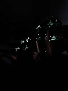 1 Paar 80g Damen Strumpfhosen für Frühling/Herbst, Spinnennetz Muster, Fledermaus Muster, Totenkopf Muster schwarze sexy Leggings, Herbst/Winter Strumpfhosen, Kniestrümpfe, Leggings, Halloween, geeignet für Alltag und Festtage (geeignet für 5-20°C)