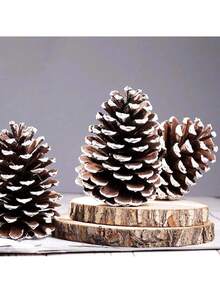 5pcs Natural Pine Cones Christmas Ornaments, Large Christmas Tree Pine Cones, 3 Sizes, Snowy Pine Cones For Christmas Tree, Gift Tags, Wreaths, Christmas Craft Hanging Decor